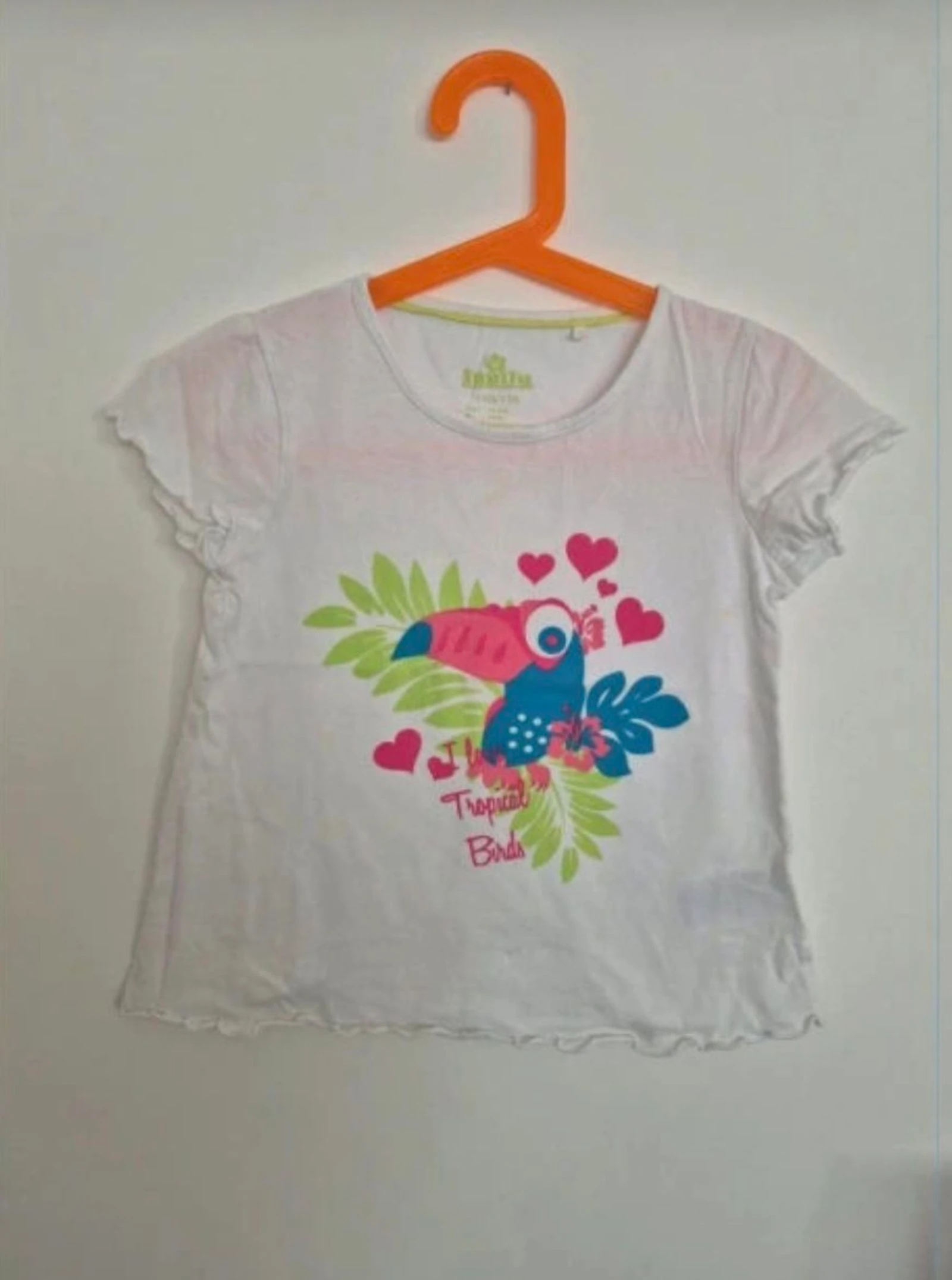 T-shirt menina 4-6 anos Lupilu